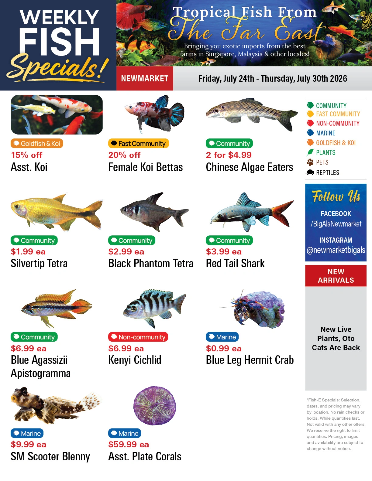 Big Al's flyer page 1