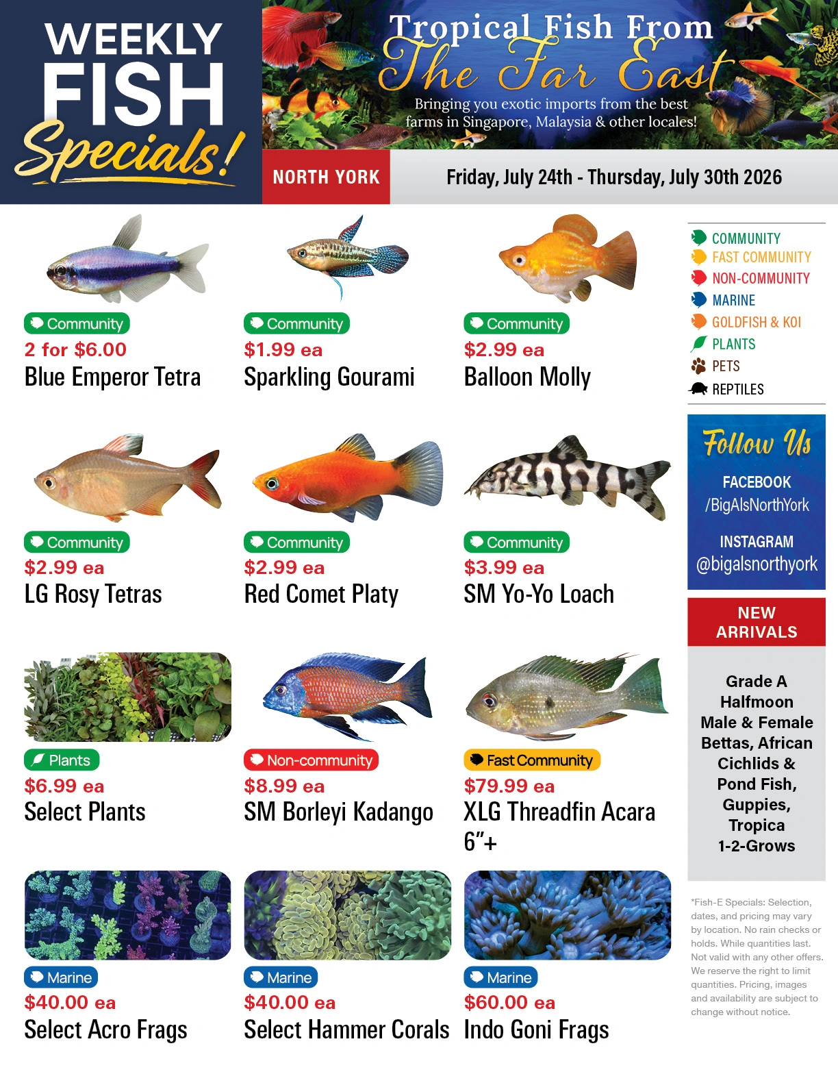 Big Al's flyer page 1