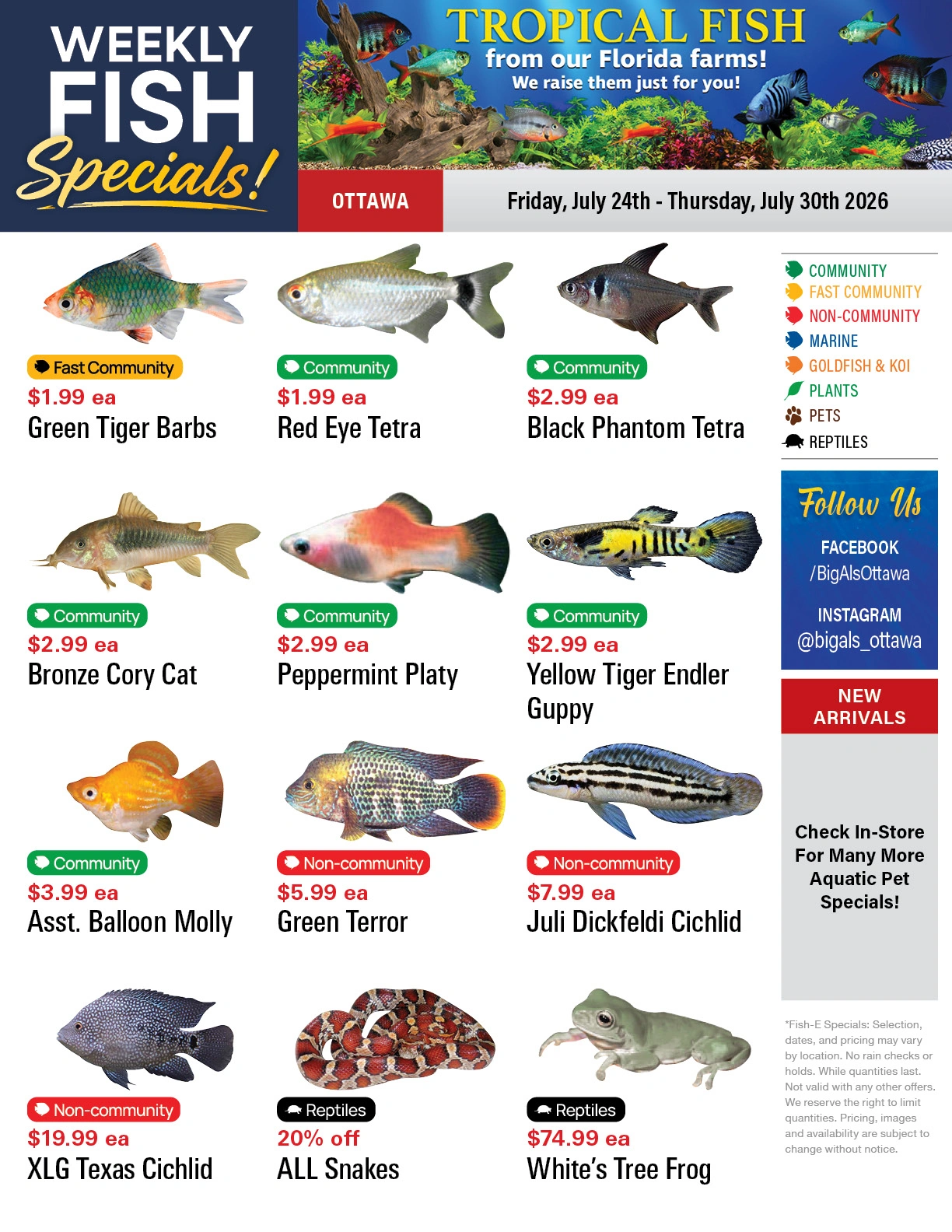 Big Al's flyer page 1