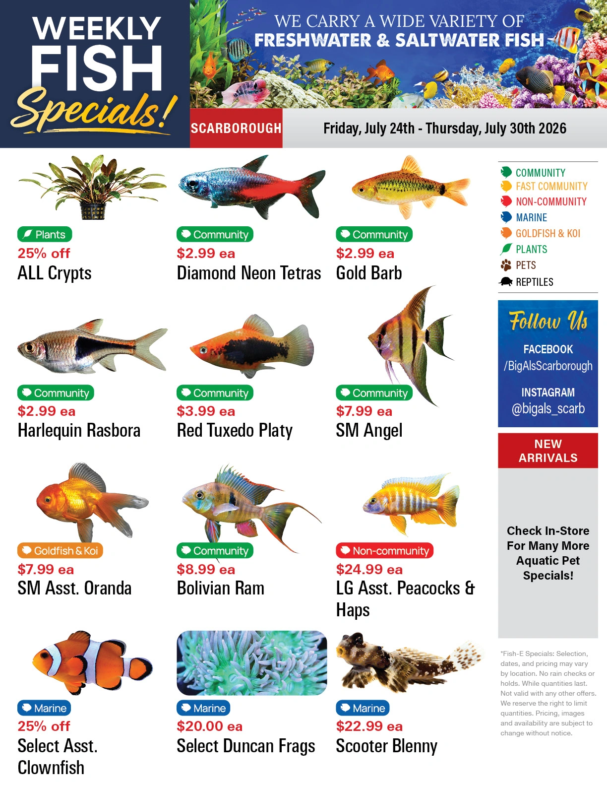 Big Al's flyer page 1