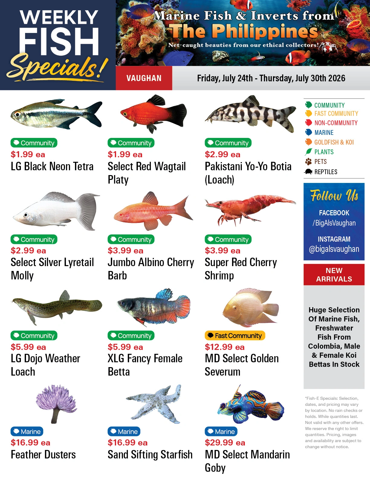 Big Al's flyer page 1