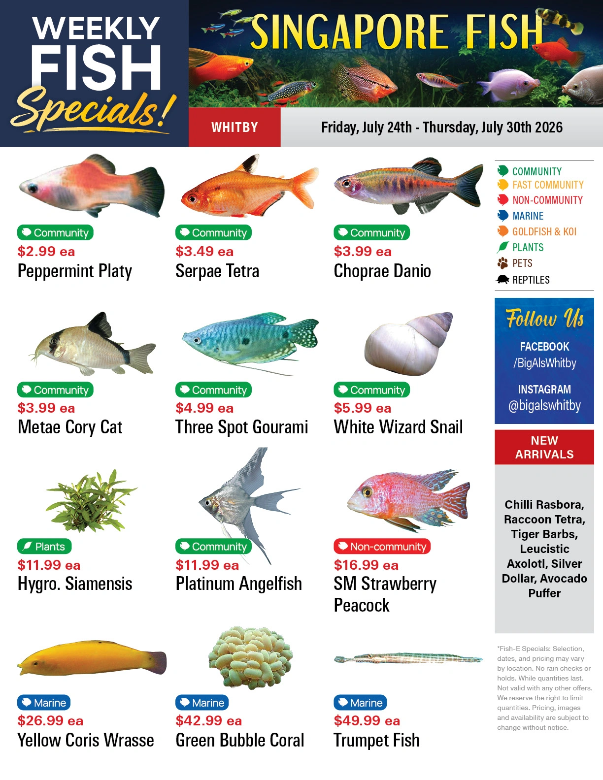 Big Al's flyer page 1