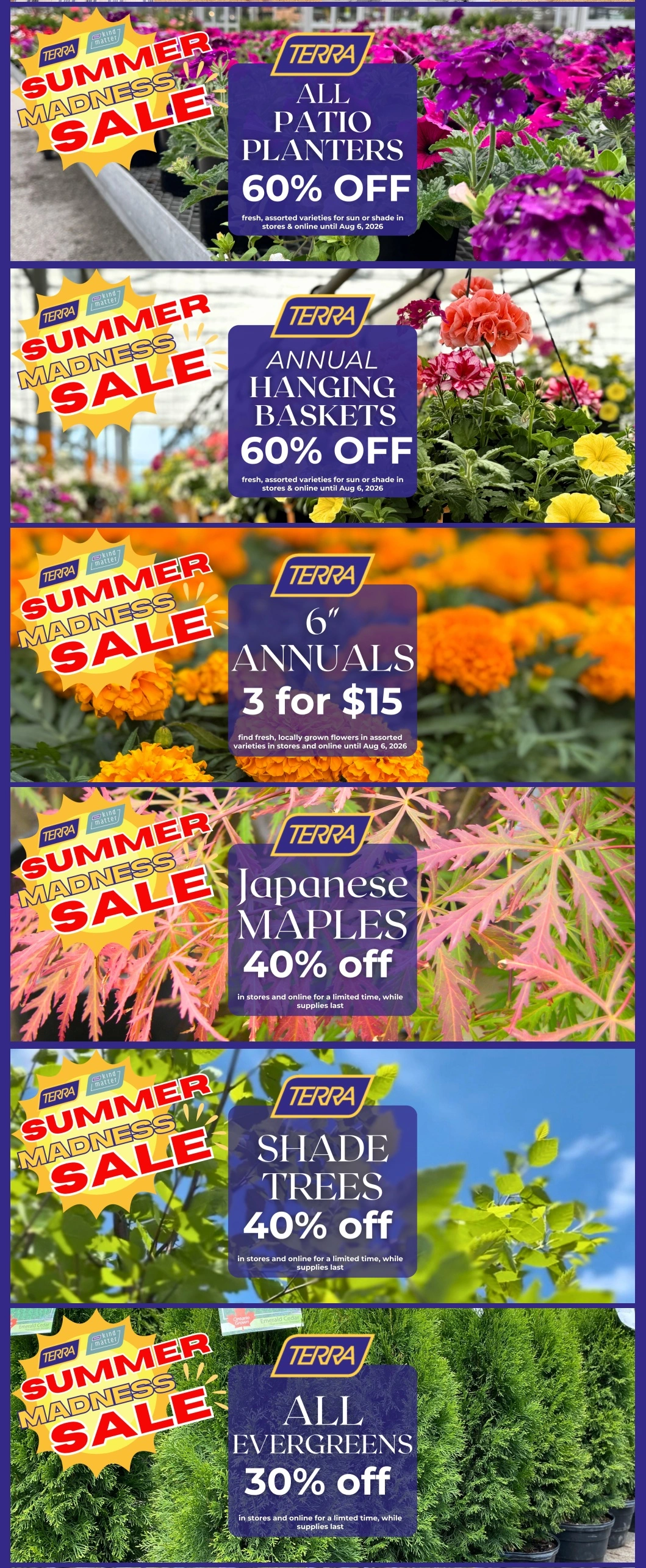Terra Green Houses flyer page 2