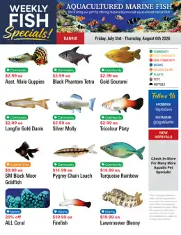 Big Al's Big Al's (Barrie) Weekly Specials July 31 to August 6