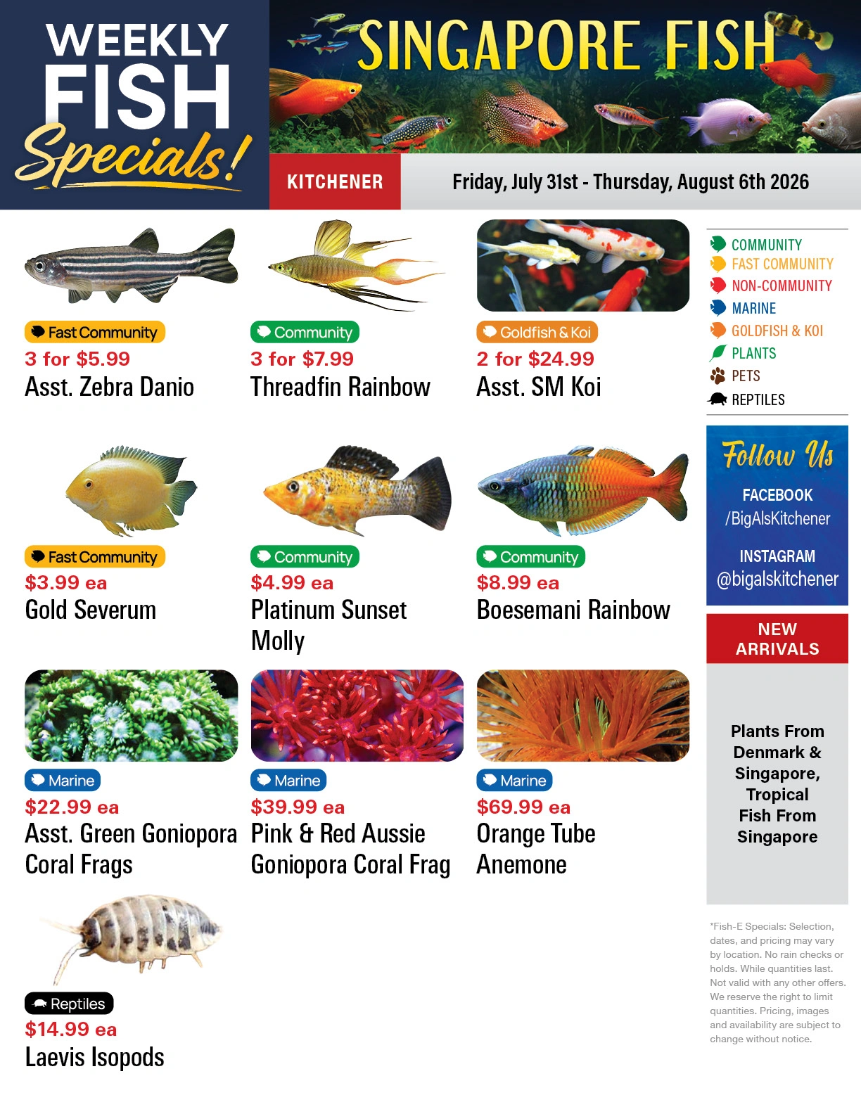 Big Al's flyer page 1