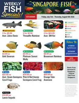 Big Al's Big Al's (Kitchener) Weekly Specials July 31 to August 6