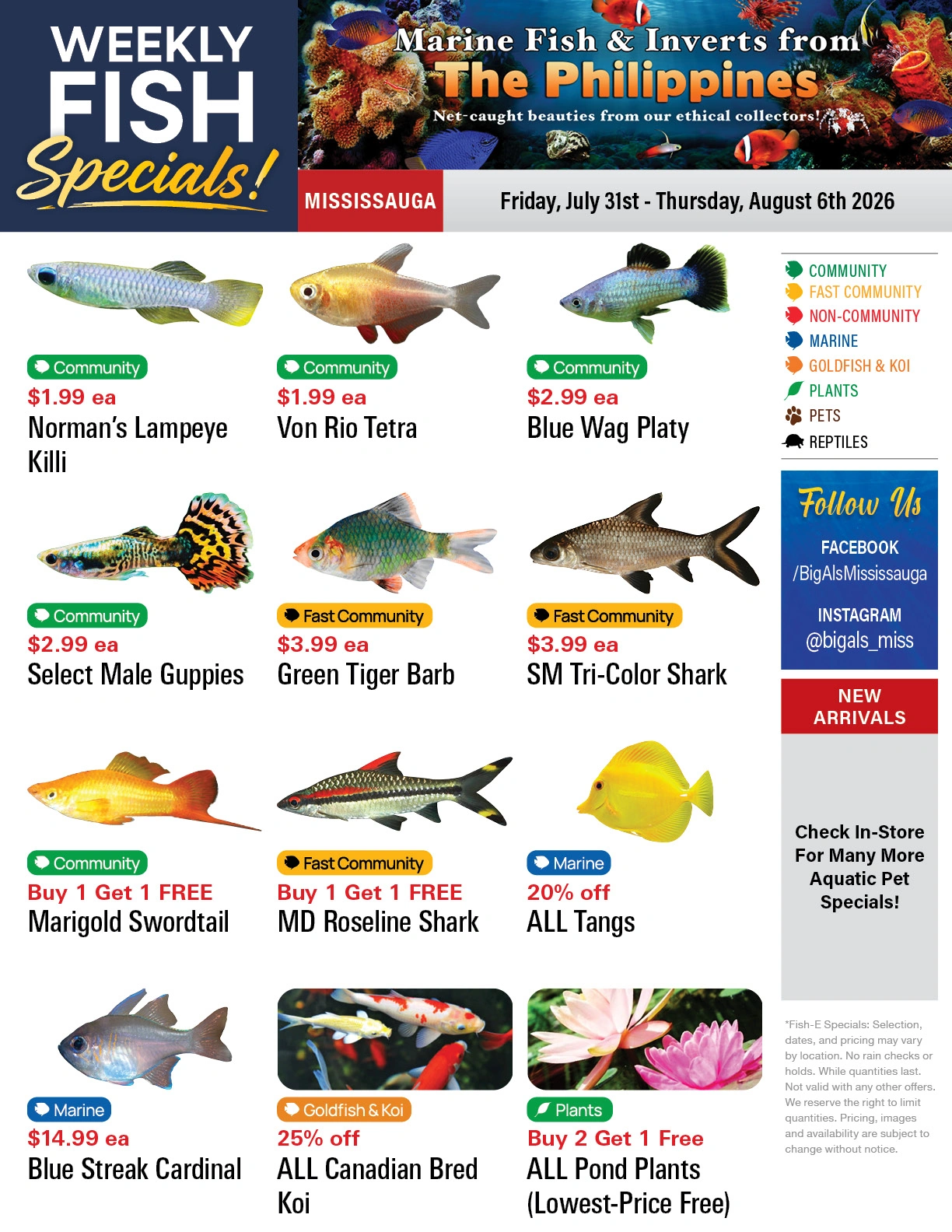 Big Al's flyer page 1