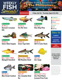 Big Al's Big Al's (Mississauga) Weekly Specials July 31 to August 6