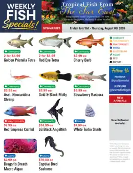 Big Al's Big Al's (Newmarket) Weekly Specials July 31 to August 6