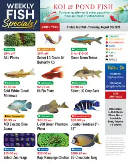 Big Al's Big Al's (North York) Weekly Specials July 31 to August 6