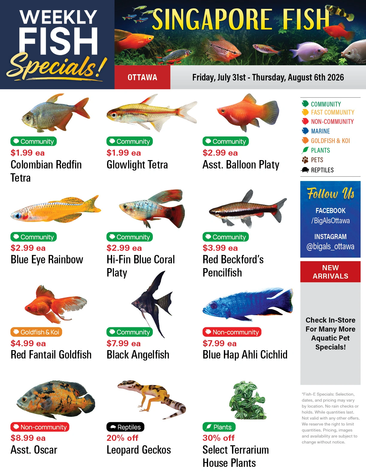 Big Al's flyer page 1