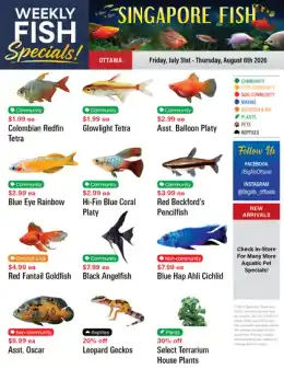 Big Al's Big Al's (Ottawa) Weekly Specials July 31 to August 6