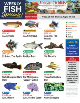 Big Al's Big Al's (Scarborough) Weekly Specials July 31 to August 6