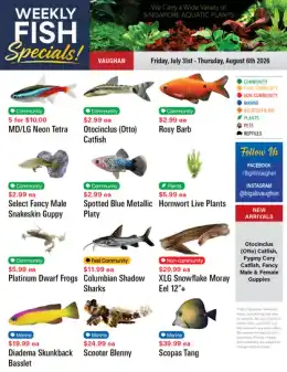 Big Al's Big Al's (Vaughan) Weekly Specials July 31 to August 6