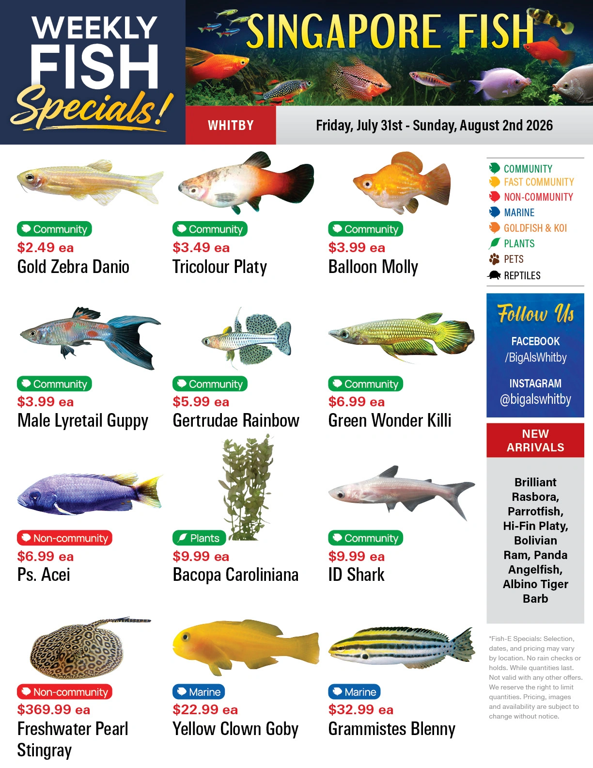 Big Al's flyer page 1