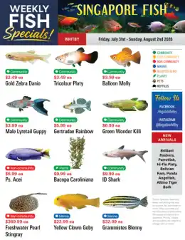 Big Al's Big Al's (Whitby) Weekly Specials July 31 to August 6
