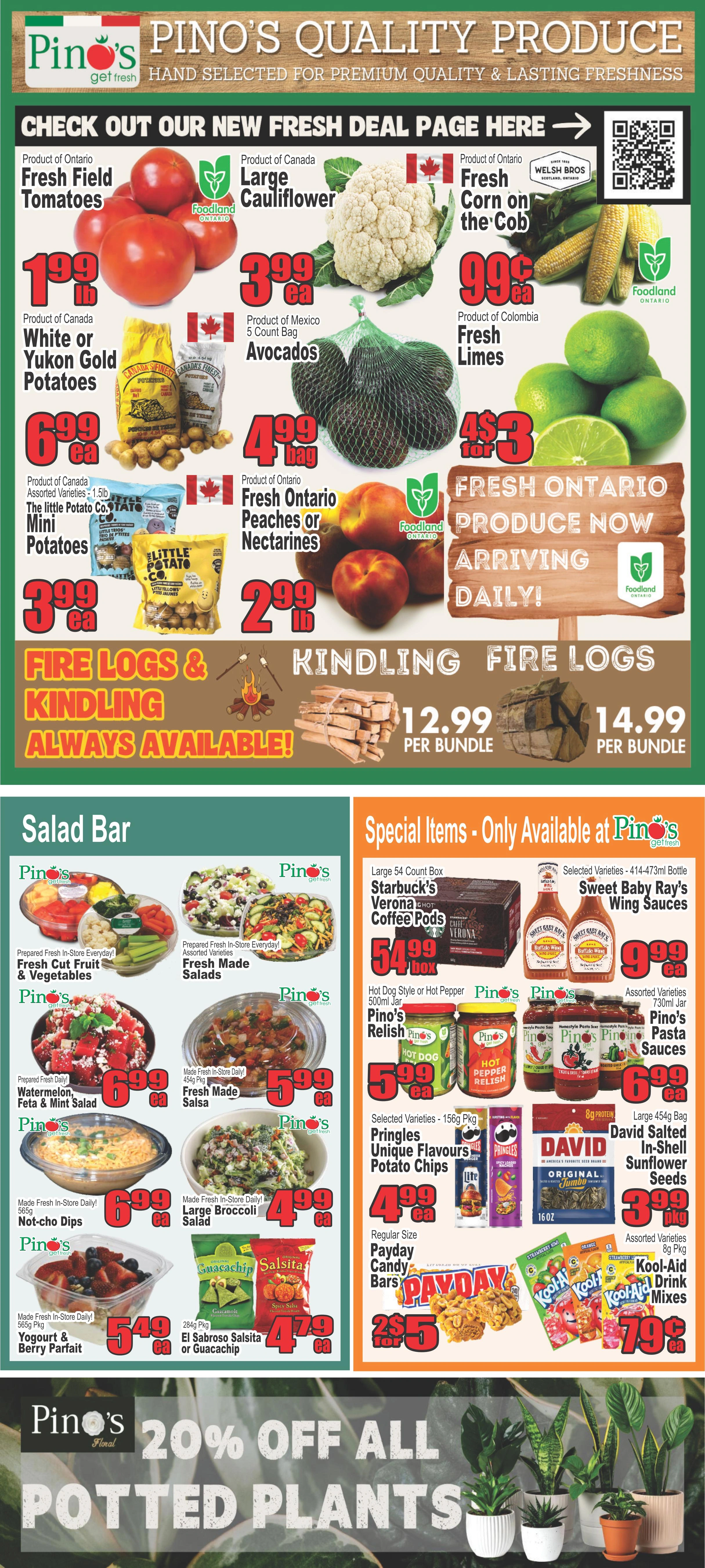 Pino's flyer page 2