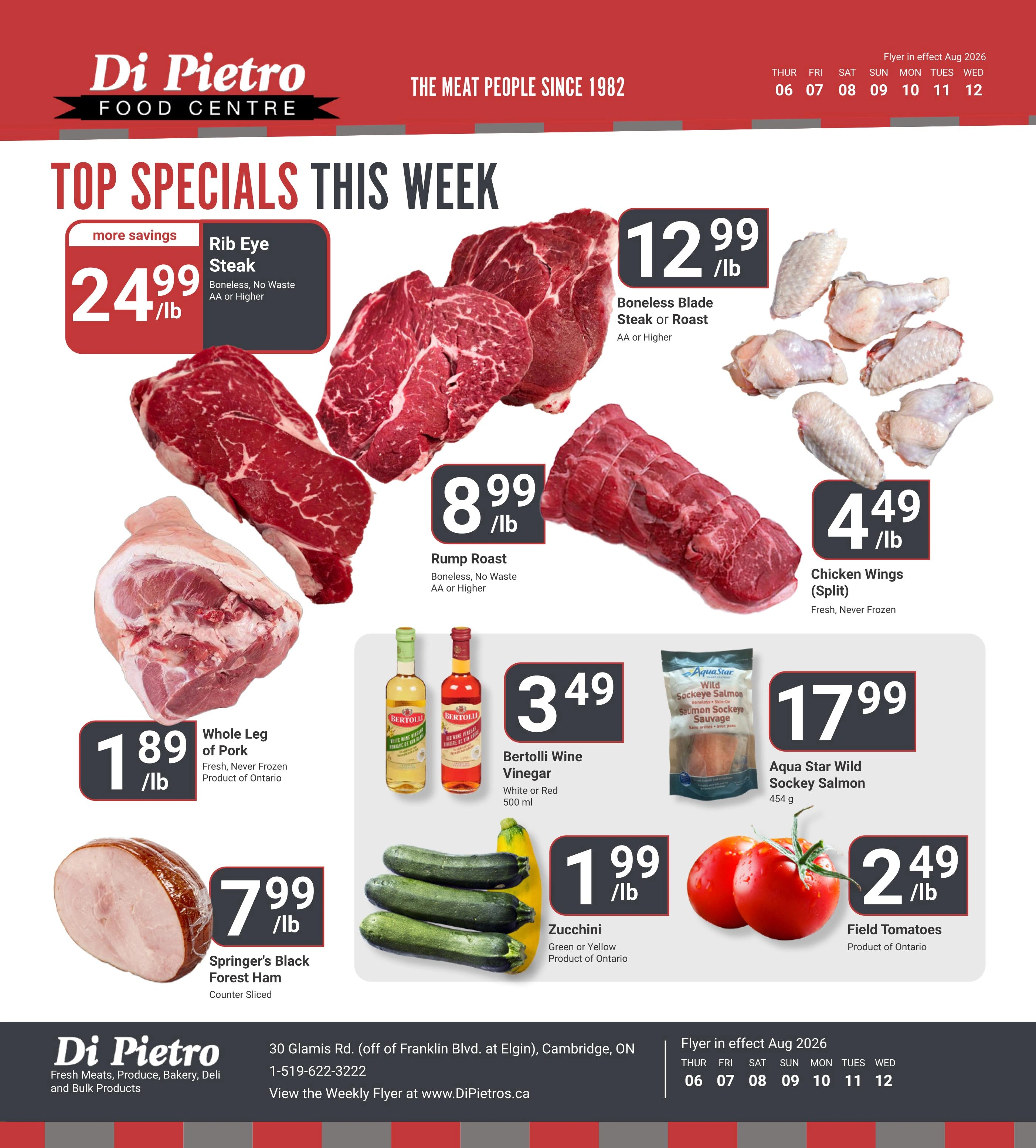Di Pietro flyer page 1