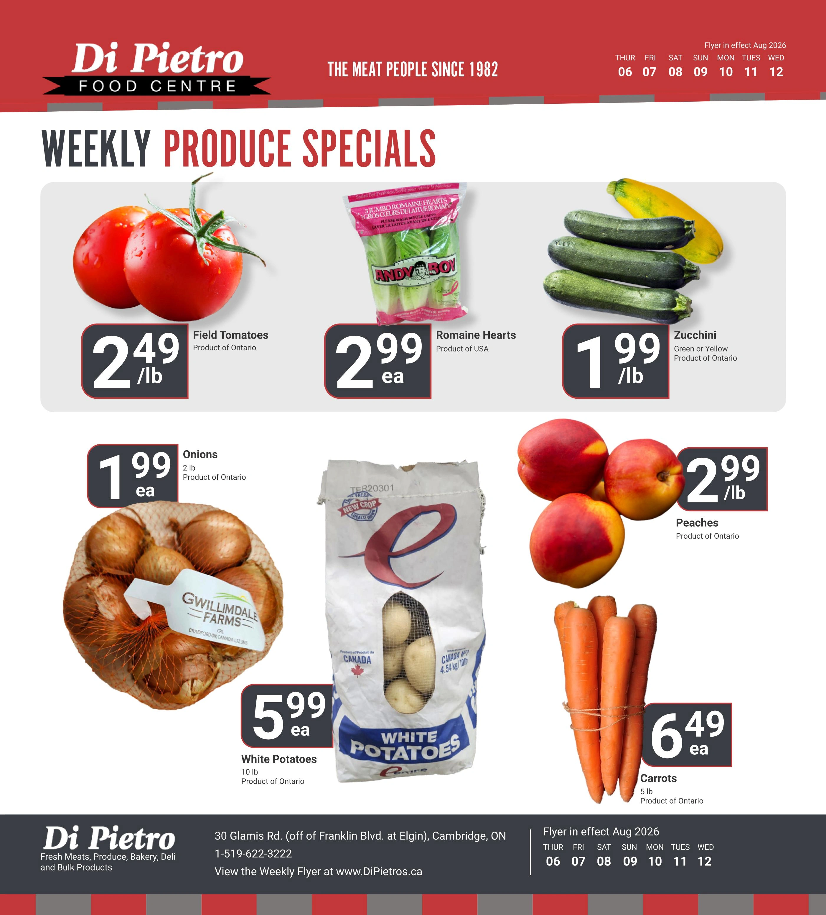 Di Pietro flyer page 5
