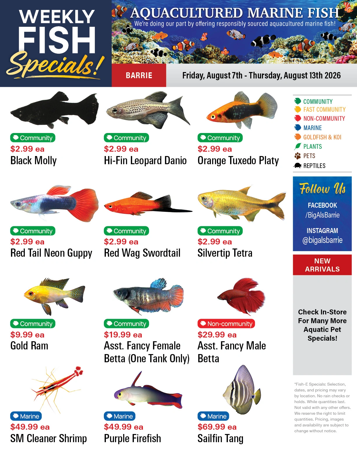 Big Al's flyer page 1