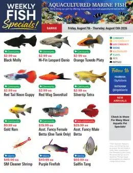 Big Al's Big Al's (Barrie) Weekly Specials August 7 to 13