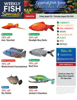 Big Al's Big Al's (Edmonton) Weekly Specials August 7 to 13