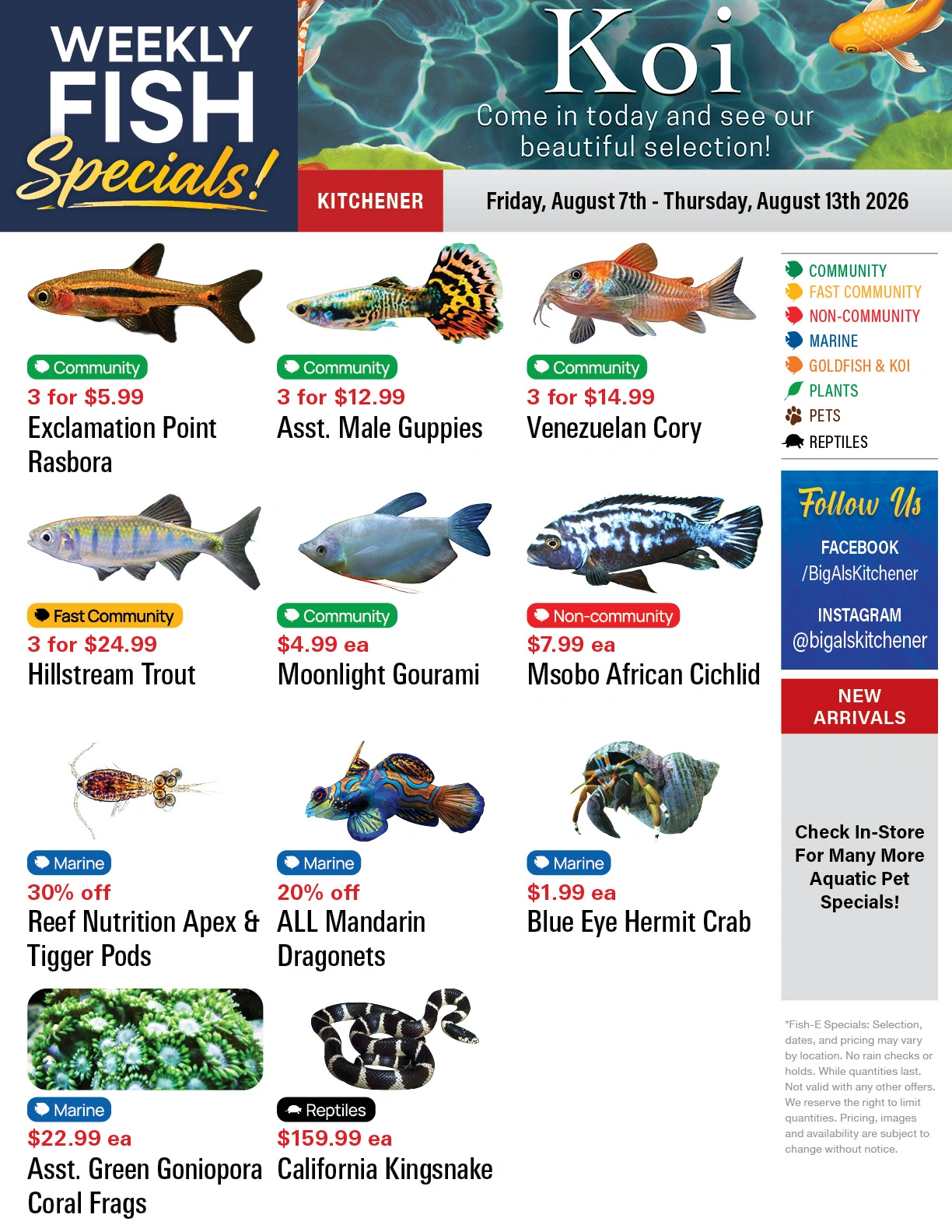 Big Al's flyer page 1