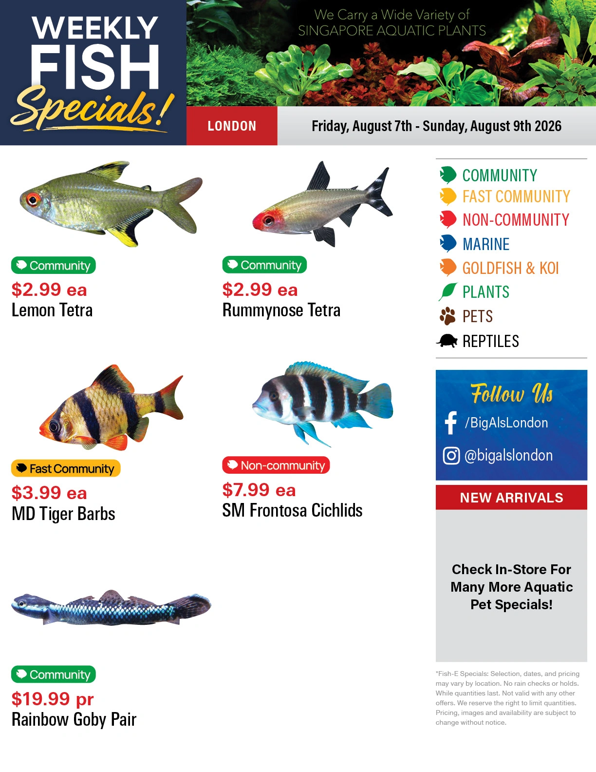 Big Al's flyer page 1