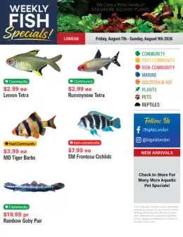 Big Al's Big Al's (London) Weekend Specials August 7 to 9