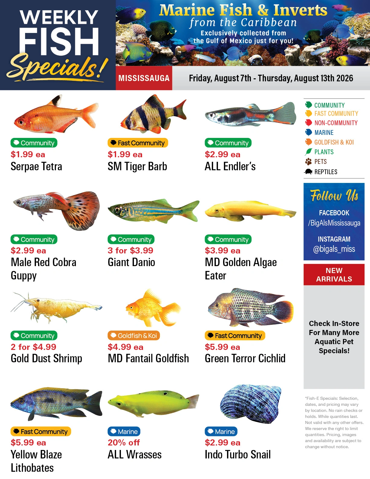 Big Al's flyer page 1