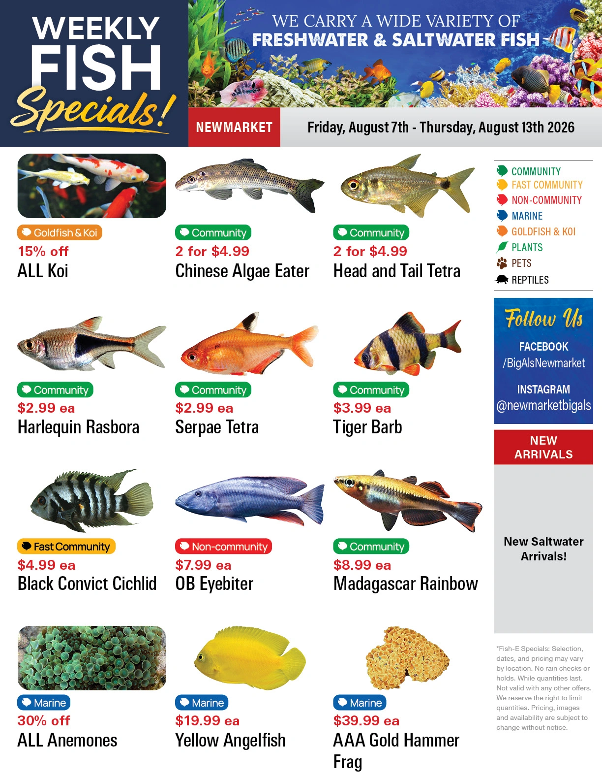 Big Al's flyer page 1