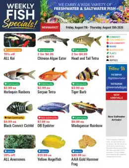 Big Al's Big Al's (Newmarket) Weekly Specials August 7 to 13