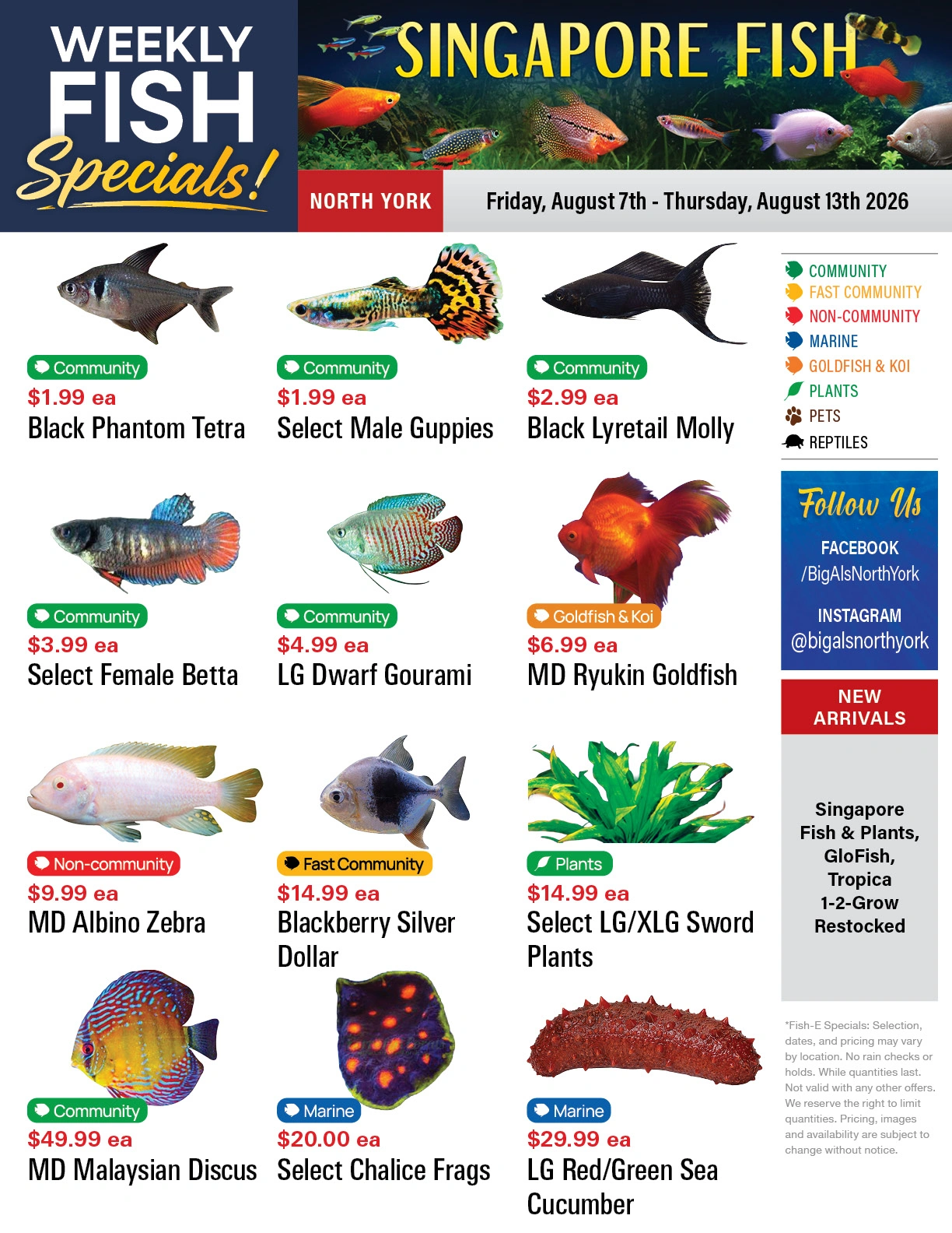 Big Al's flyer page 1