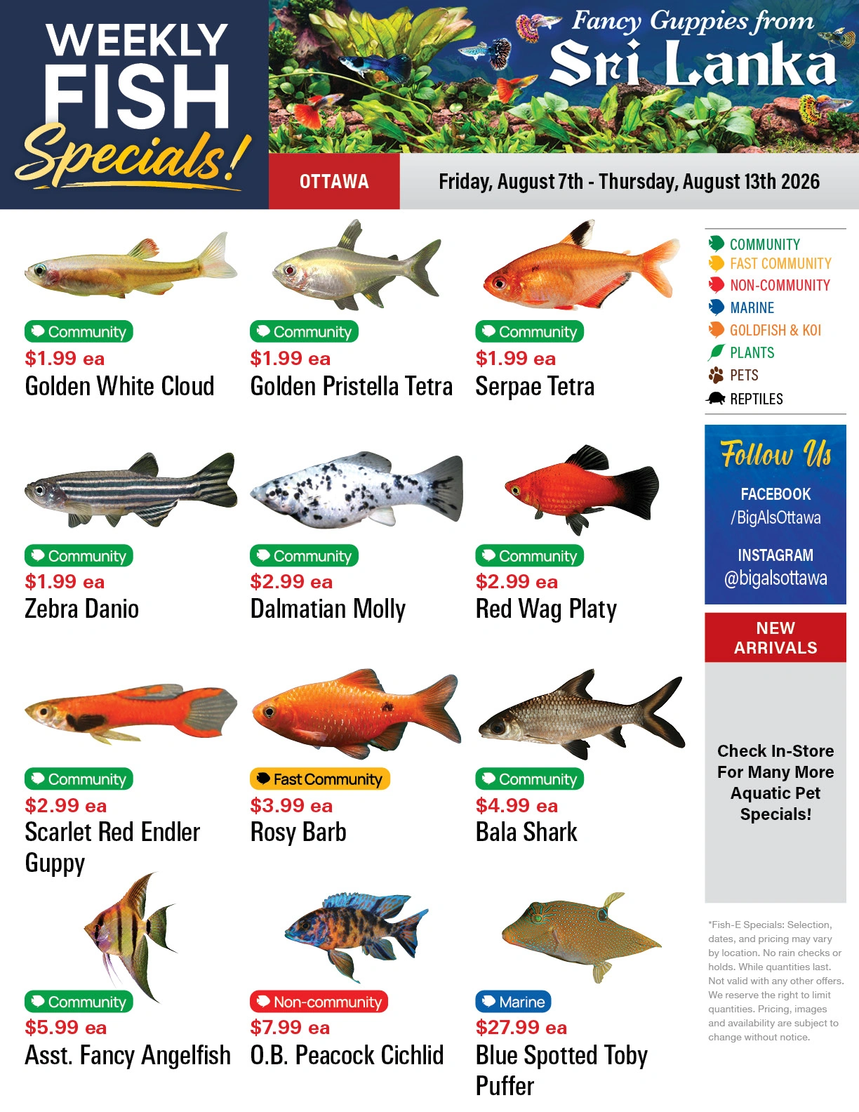 Big Al's flyer page 1