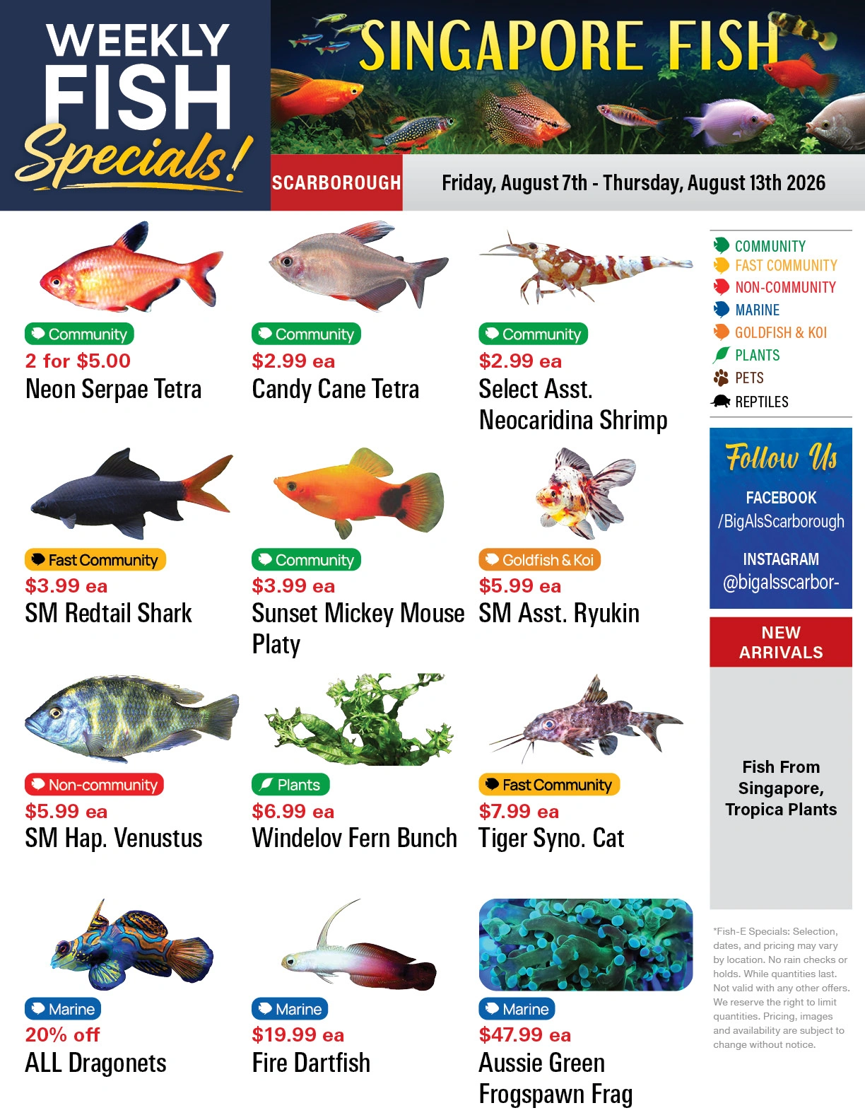 Big Al's flyer page 1