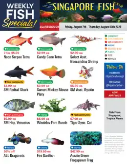 Big Al's Big Al's (Scarborough) Weekly Specials August 7 to 13