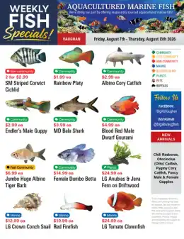 Big Al's Big Al's (Vaughan) Weekly Specials August 7 to 13