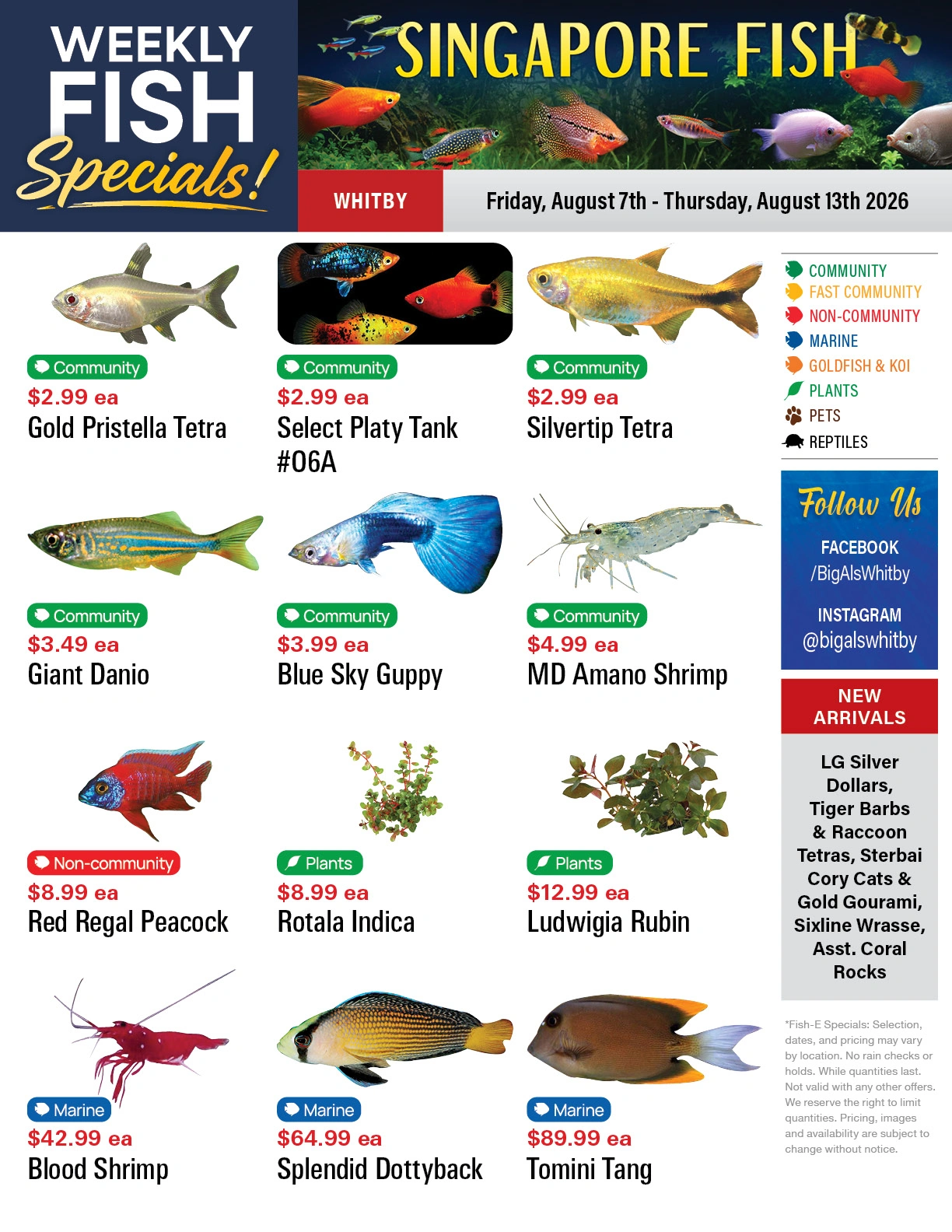 Big Al's flyer page 1