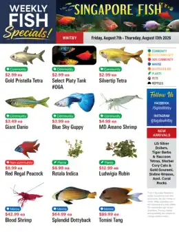 Big Al's Big Al's (Whitby) Weekly Specials August 7 to 13