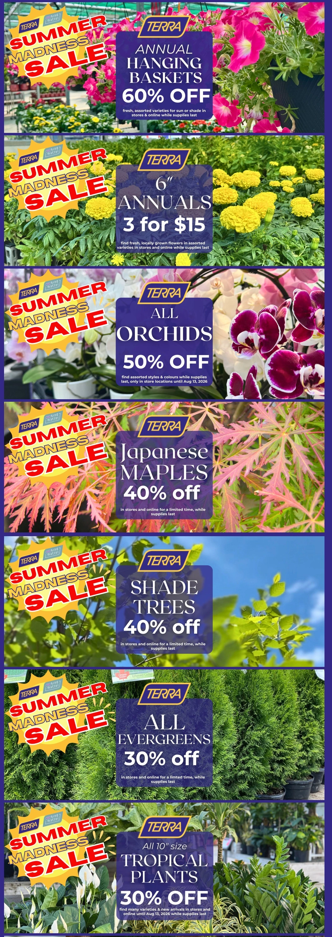 Terra Green Houses flyer page 2